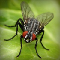 /album/nipovahe/photolia-a01-jpg/