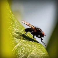 /album/nipovahe/photolia-a04-jpg/