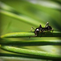 /album/nipovahe/photolia-a05-jpg/