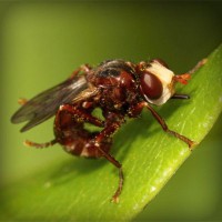 /album/nipovahe/photolia-a06-jpg/