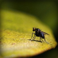 /album/nipovahe/photolia-a07-jpg/