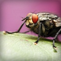 /album/nipovahe/photolia-a08-jpg/